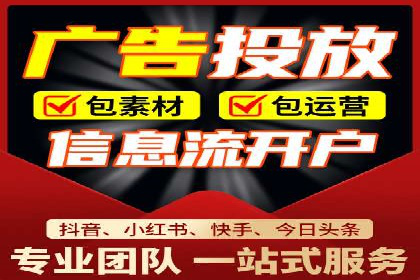 竞价广告的深度解析：以一知名品牌为例